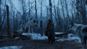 Арья в лесу встречает Нимерию