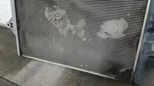 Land Cruiser Prado 120. Радиатор охлаждения двигателя Denso. Замена. Заметки.