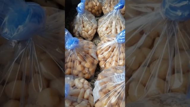Полезные Советы. Как облегчить жизнь Женщине. смотреть онлайн