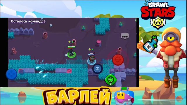 Конец сезона 😱 купил Ворона меха за 10 к старпоинтов😱😱