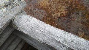 Шалаш на гуся.