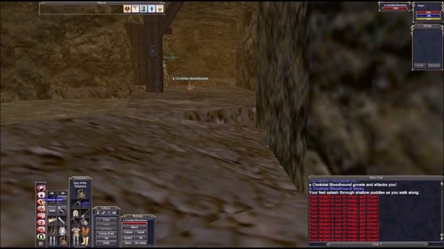 Druid Solos Foreman Mirt'akk, Chardok, Nice Loot, P99 EverQuest смотреть онлайн