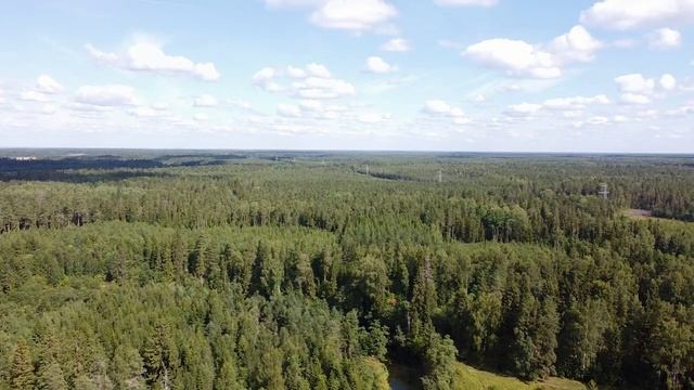 Речка Орлинка в нижнем течении, в месте впадения в Оредеж. смотреть онлайн