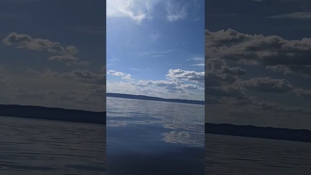 лодка cat fish 310+ sea pro 5л.с смотреть онлайн
