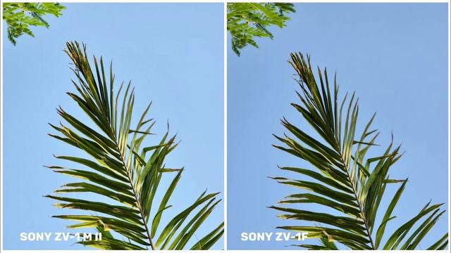 Sony ZV-1 Mark II VS Sony ZV-1F | Night Mode Camera Test смотреть онлайн