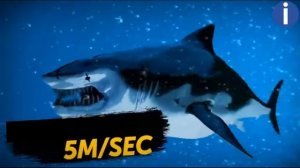 МЕГАЛОДОН ПРОТИВ ТИТАНАБОА( кто победит?)