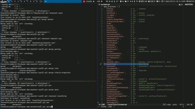 Mudah Update Dynamic Window Manager dengan Git смотреть онлайн
