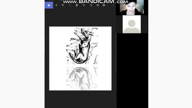 16 - 3 Sternzahl Sternbild Wolf _ Числа звёзд Созвездие Волка смотреть онлайн