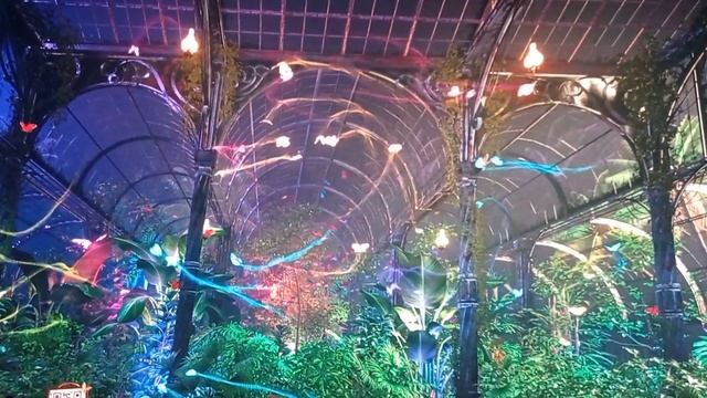 Digital Art , Butterfly , Big screen show..uk смотреть онлайн