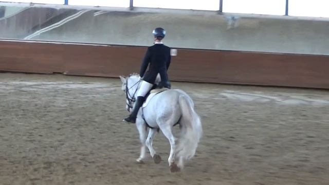 Иван Данилов и ОРИОН. Тест для начинающих. 65,877% 2 место смотреть онлайн