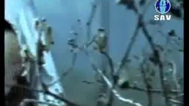 प्रविन गुरुङ смотреть онлайн