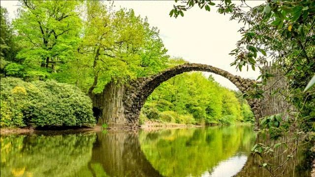 Когнитивный диссонанс - что не принимает ваше сознание.