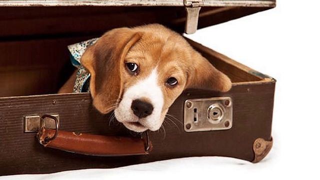 55 интересных фактов смотреть онлайн