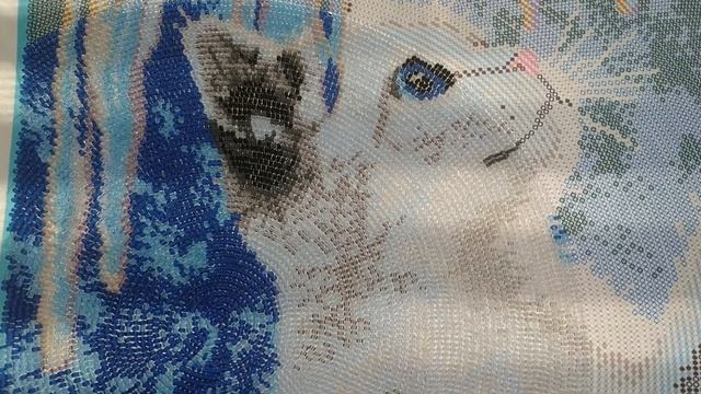 Сп "В мире животных" отчёт 3 "Котёнок и сосульки" смотреть онлайн