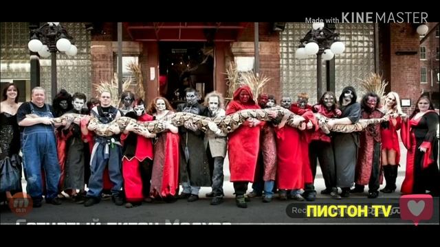 10 ЖИВОТНЫХ ВЕЛИКАНОВ | САМЫХ ОГРОМНЫХ В МИРЕ | 10 biggest animals. смотреть онлайн