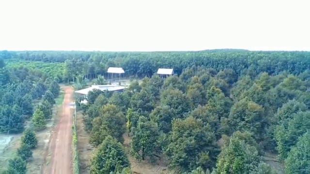 video sg906 max 3 смотреть онлайн