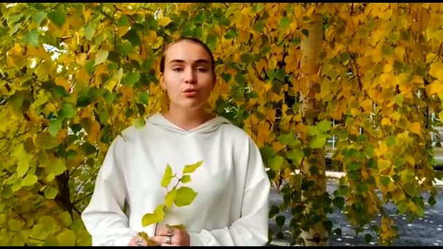 с днем учителя шабаева 2 короткий смотреть онлайн