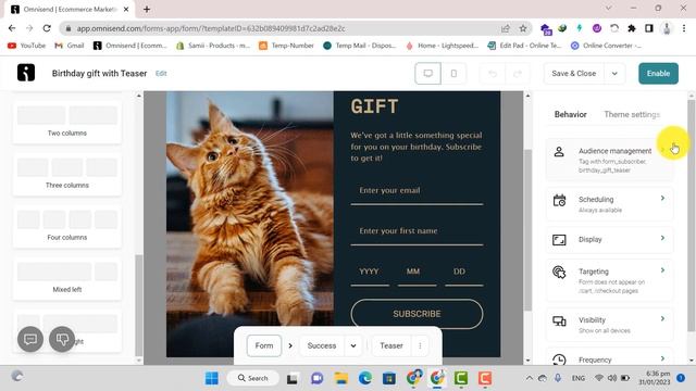 How to do create a popup form in OmniSend / OmniSend Tutorial смотреть онлайн