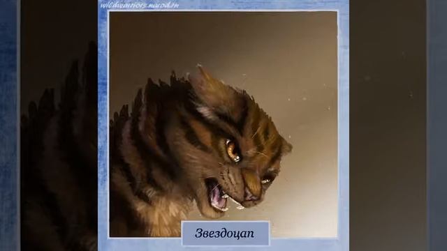 Имена котов ваителей смотреть онлайн