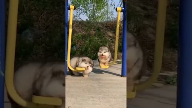 Возможности есть всегда