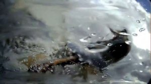 Швертбот луч 2