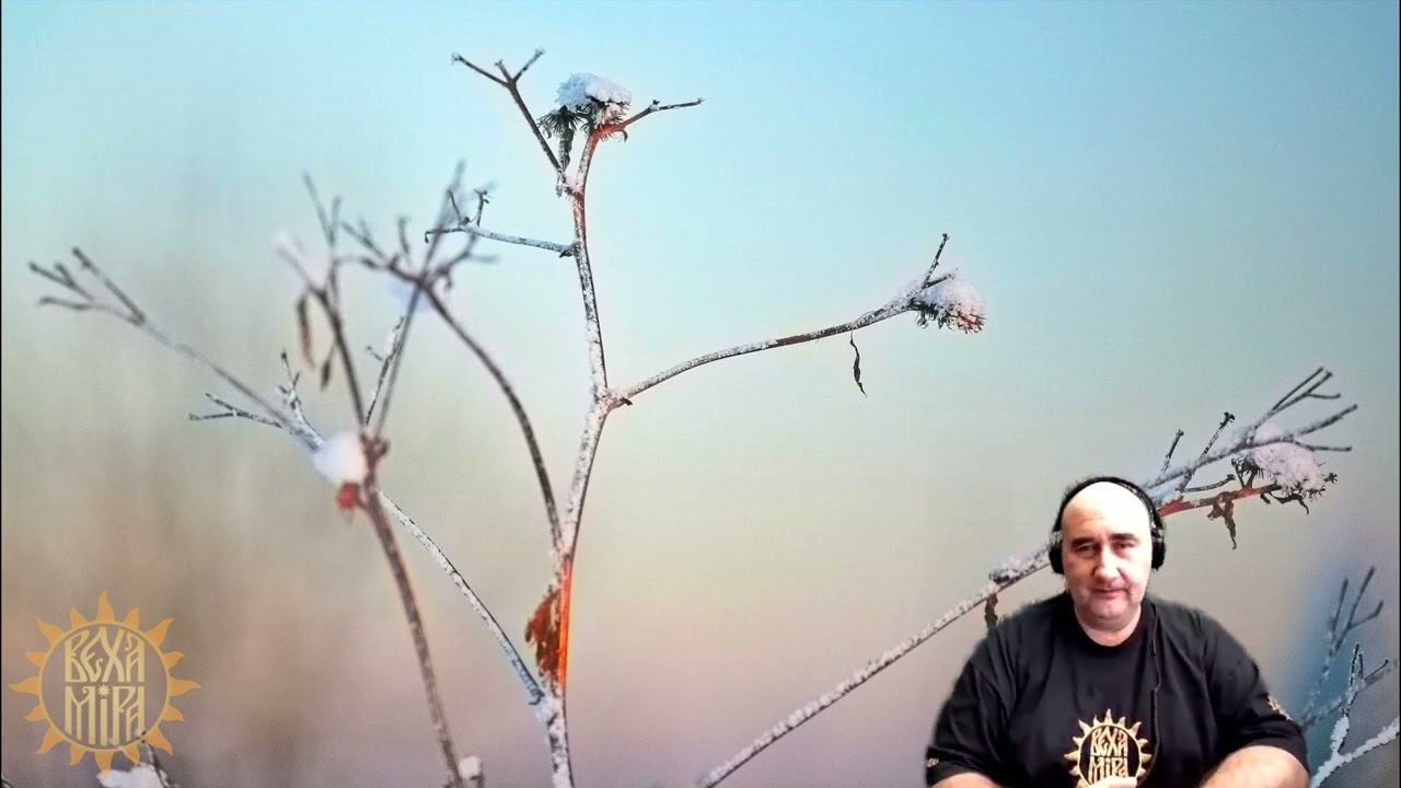 Вегетарианство как проект. смотреть онлайн