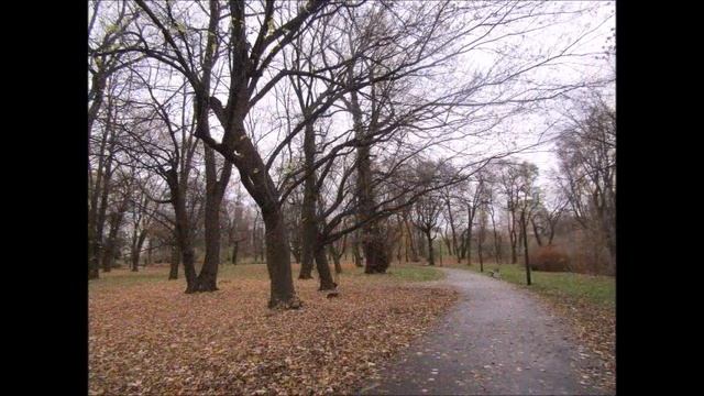 Парк Пражский в ноябре Prague Park in November 1 смотреть онлайн