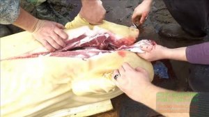 Разделка туши кабана от А до Я