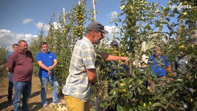 Мастер-класс по летней обрезке яблони. Айдаред. Сад Агро-Мотоль смотреть онлайн