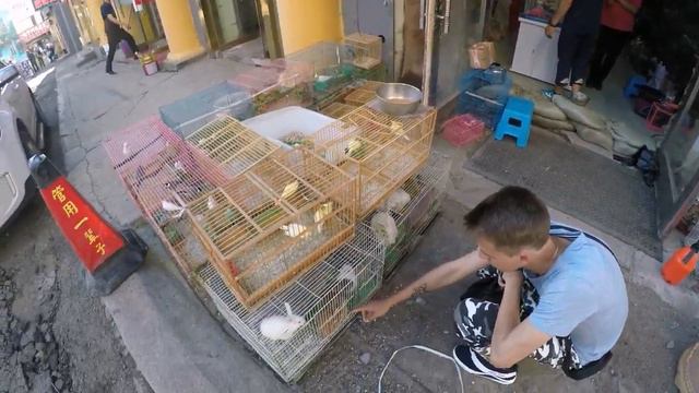 Димону покрасили волосы и нам промассировали ступни смотреть онлайн