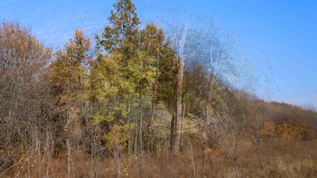 Красота природы. смотреть онлайн