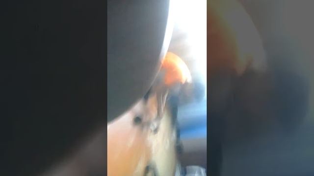 Угар альта насрала смотреть онлайн