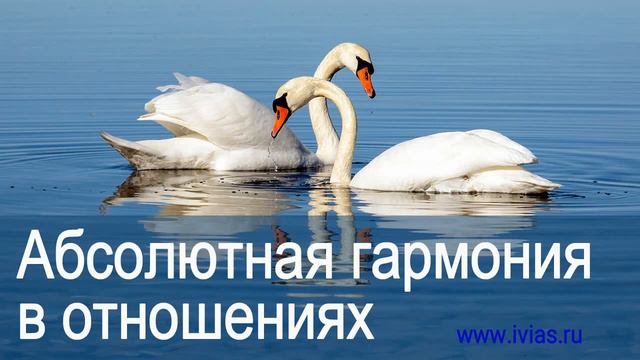 Абсолютная гармония в отношениях | Книга жизни смотреть онлайн