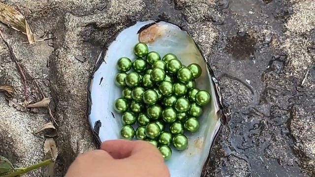 The Pearl Hunter Picked Up A Small Mussel In The Lake, Surprise, A Big Harvest Of Green Pearls