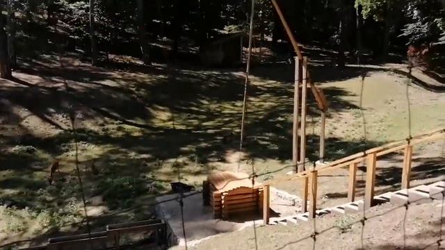 Подарок от зятя на День рождения - поездка в Софиевский дендропарк (г. Умань) смотреть онлайн