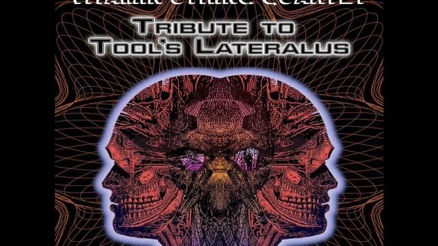 Lateralus a String Quartet tribute to Tool смотреть онлайн