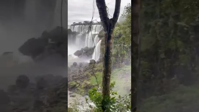 Iguazu Falls on the border of Argentina and Brazil смотреть онлайн