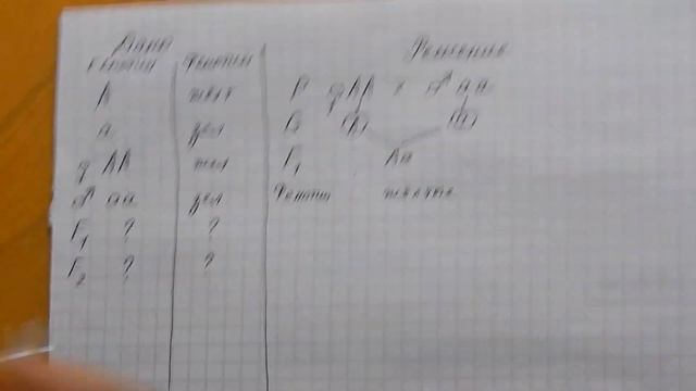 Моногибридное скрещивание - правило единообразия и правило расщепления смотреть онлайн