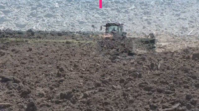 ПОСІВ озимого ріпаку смотреть онлайн