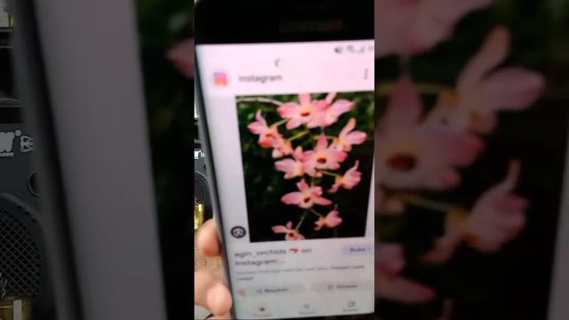LIVE SENIN 19/2/2024 смотреть онлайн