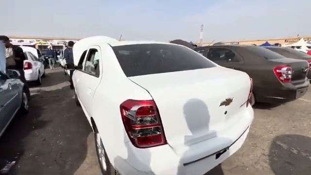 Uzbekistan Moshin Bozori 2023