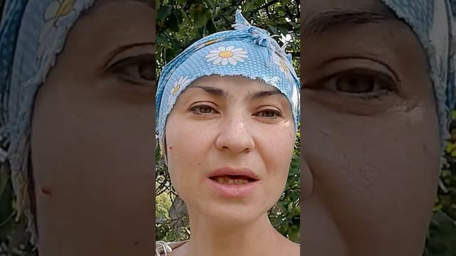 В чем отличие свеклы от моркови?Почему плохо хранится морковь? смотреть онлайн