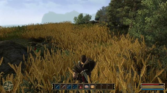 GOTHIC 3 ENHANCED EDITION KILL ALL THE HUNGRY WOLF PACKS AROUND CAPE DUN смотреть онлайн