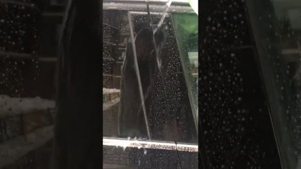 Krytex mega 8 после 600 км трассы