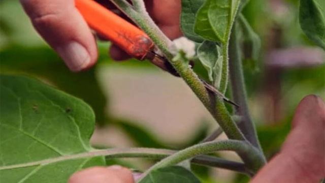 Строительный Колорит