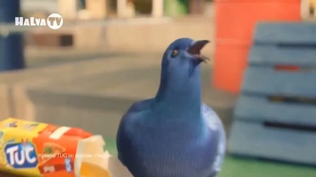 Печенье Тук)))