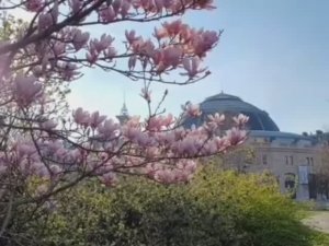 Мой Париж -  Наталья Нильская