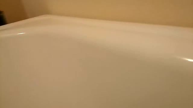 Кошка хочет мыться смотреть онлайн