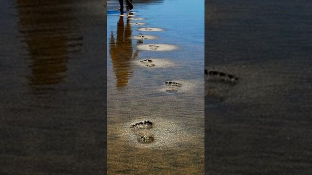 Стих. Судьба нам лишних не дает. смотреть онлайн