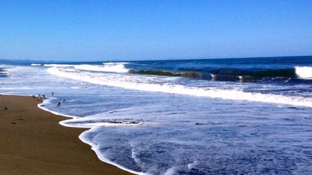 Летних дней прощальные сюжеты.... в музыке Сергея Чекалина - День за днем смотреть онлайн